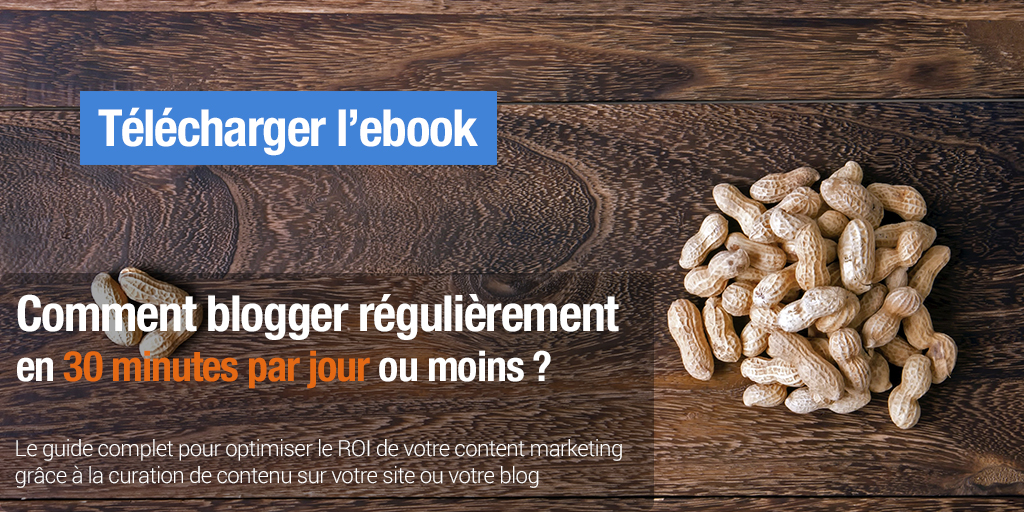 ebook blogger régulièrement