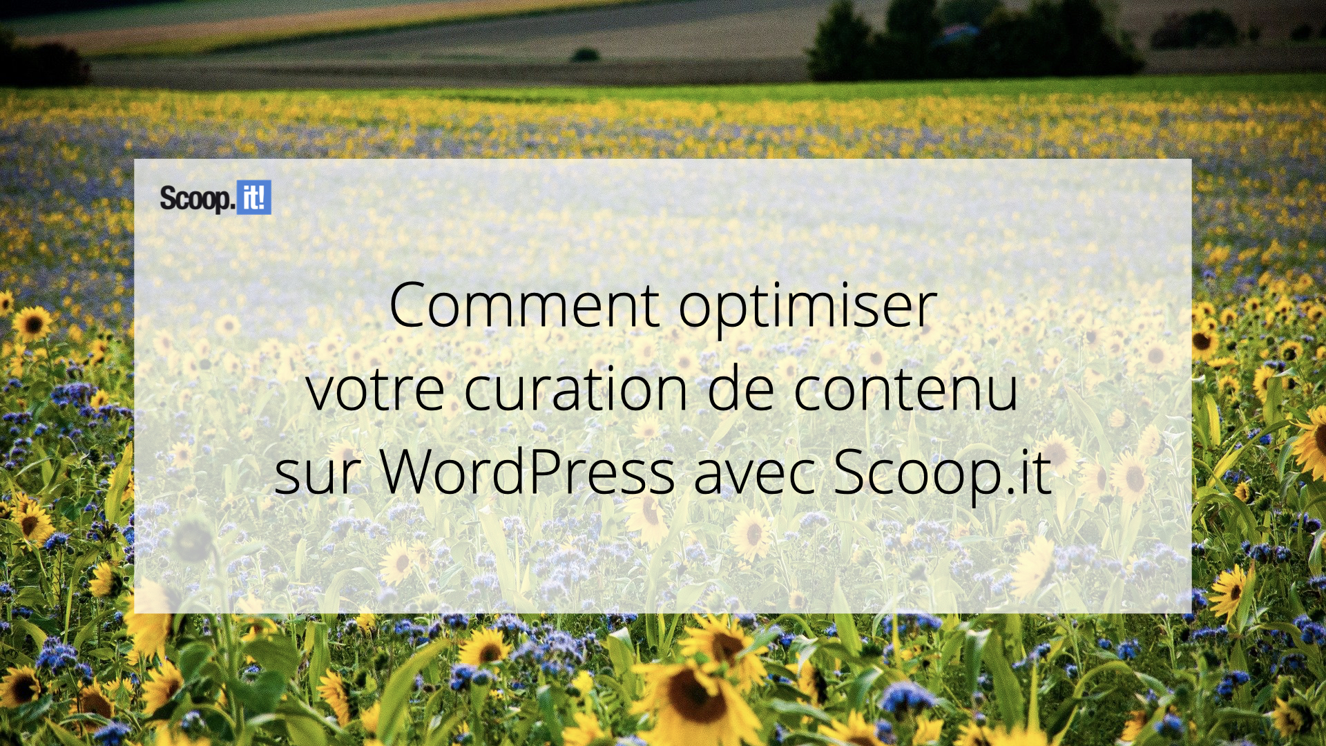 Comment optimiser votre curation de contenu sur WordPress avec Scoop.it 