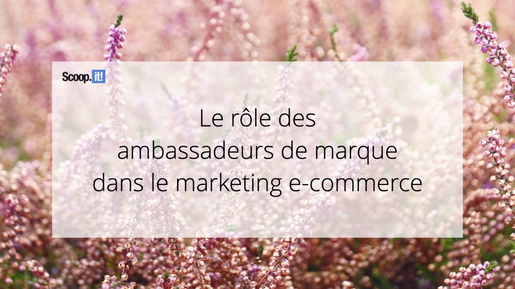 Le rôle des ambassadeurs de marque dans le marketing e-commerce