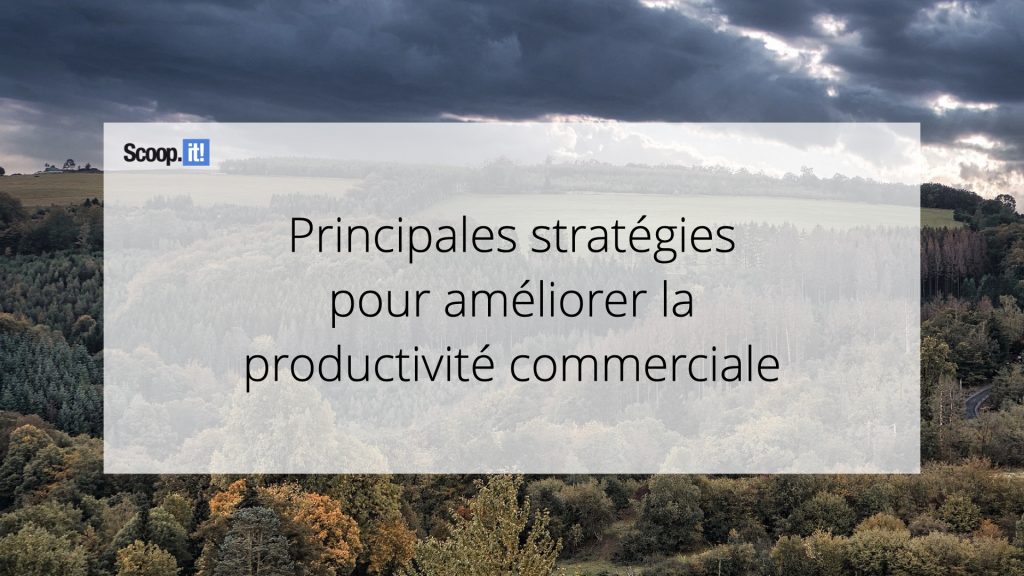 Principales stratégies pour améliorer la productivité commerciale