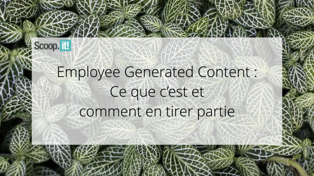 Employee Generated Content: Ce que c’est et comment en tirer partie