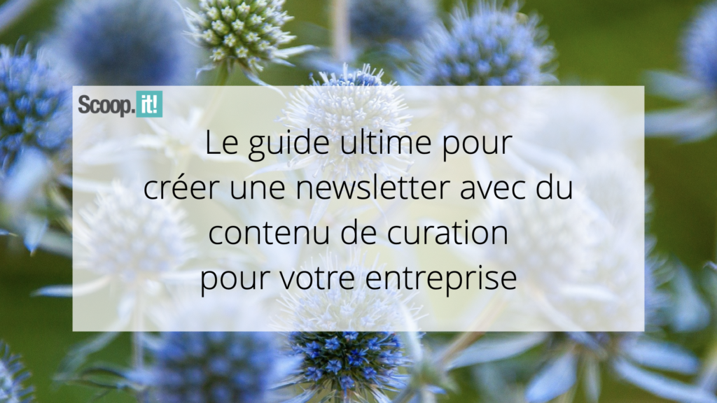 Le guide ultime pour créer une newsletter avec du contenu de curation pour votre entreprise