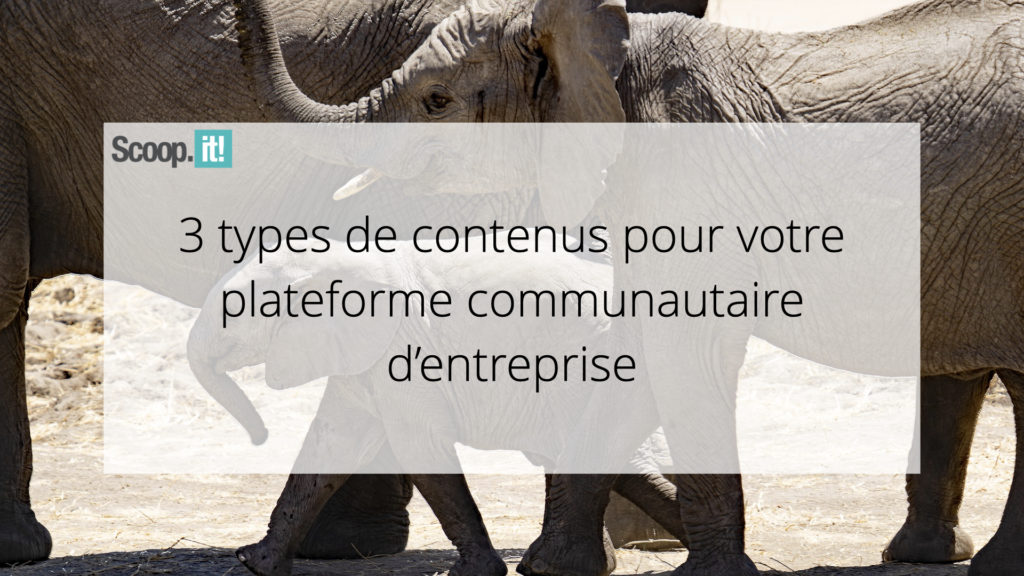 3 types de contenus pour votre plateforme communautaire d'entreprise