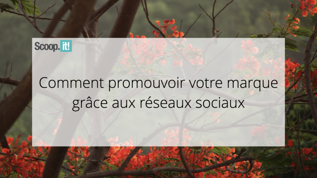 Comment promouvoir votre marque grâce aux réseaux sociaux