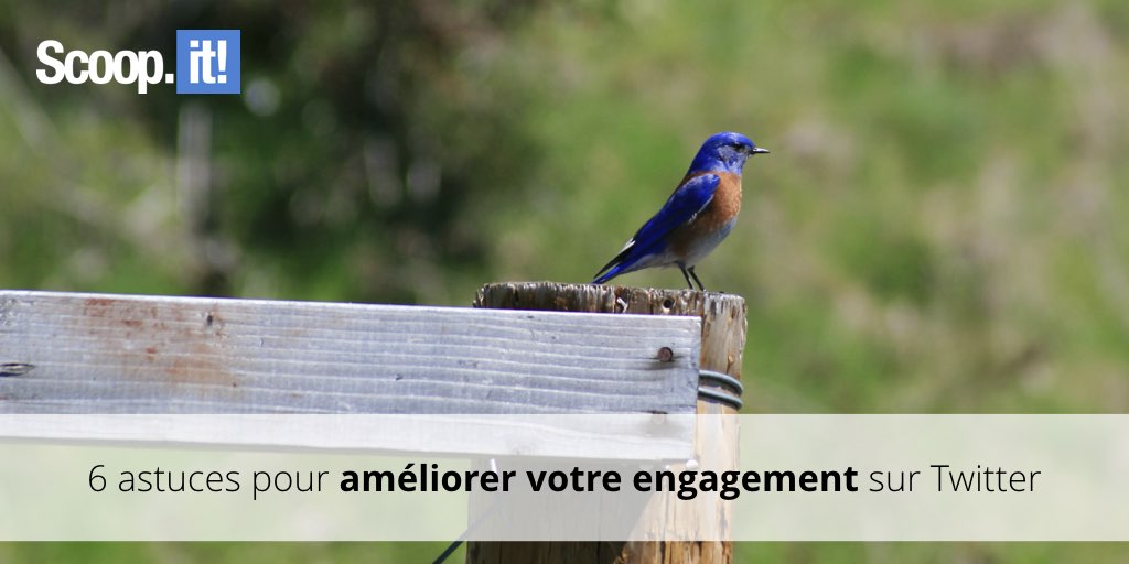 engagement twitter astuces