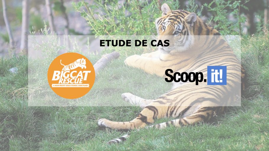 [Etude de cas] Big Cat Rescue & Scoop.it