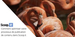 Comment optimiser votre processus de publication de contenu dans Scoop.it