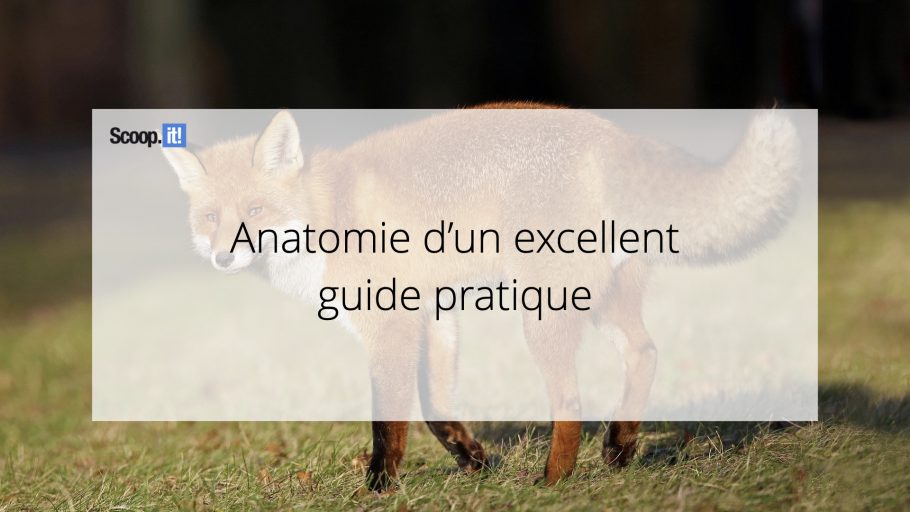 Anatomie d'un excellent guide pratique