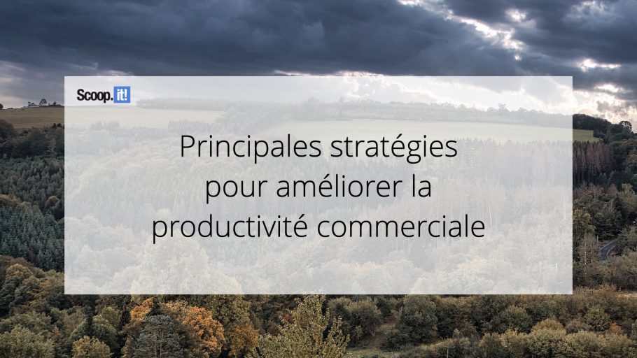 Principales stratégies pour améliorer la productivité commerciale