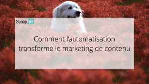 Comment l'automatisation transforme le marketing de contenu