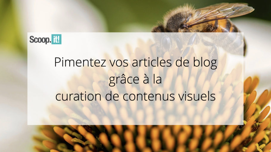 Pimentez vos articles de blog grâce à la curation de contenus visuels