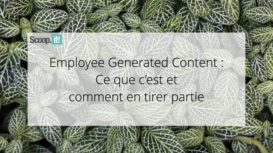 Employee Generated Content: Ce que c’est et comment en tirer partie