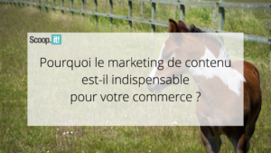 Pourquoi le marketing de contenu est-il indispensable pour votre commerce ?