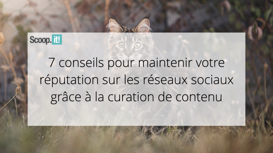 7 conseils pour maintenir votre réputation sur les réseaux sociaux grâce à la curation de contenu