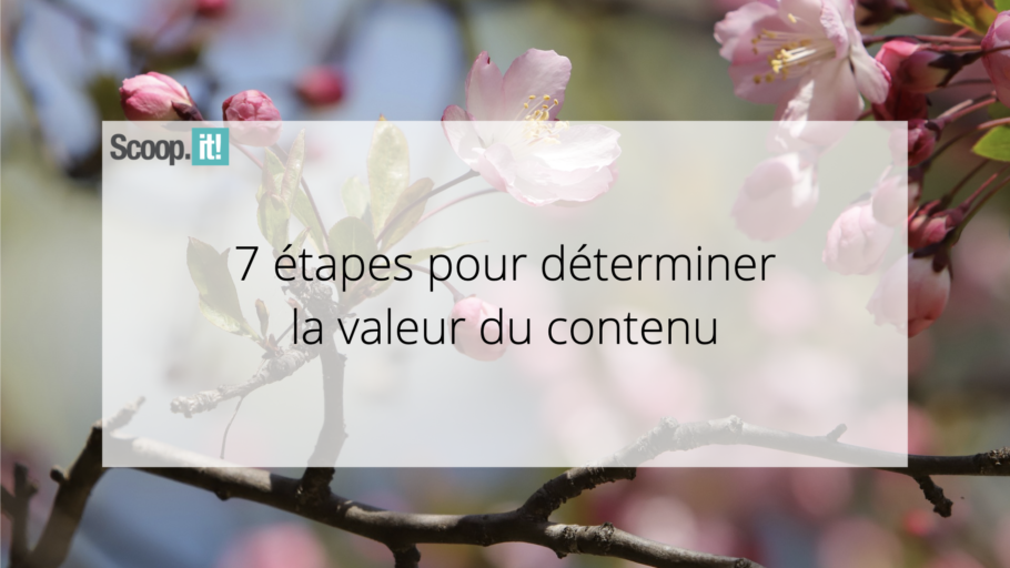 7 étapes pour déterminer la valeur du contenu